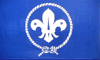 Boy Scout Flag