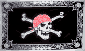Pirate Flag w/ Skull Border