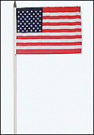 USA Flag 12