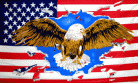 US Flag w/ Eagle